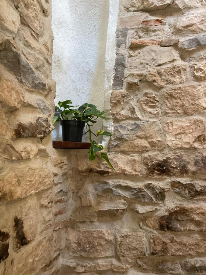 Place Aux Herbes Appartement Nîmes Buitenkant foto